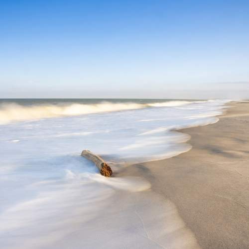 Photo #12236280