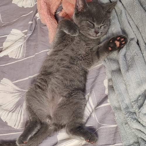 Photo #12236308