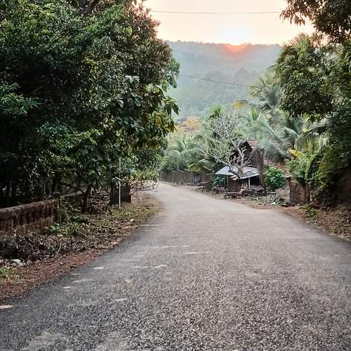 Photo #12236320