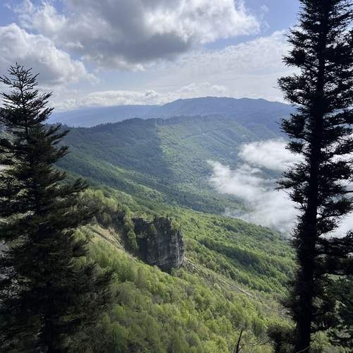 Photo #12236321