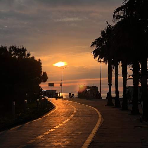Photo #12236333
