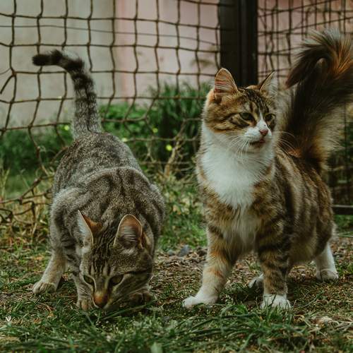 Photo #12236532