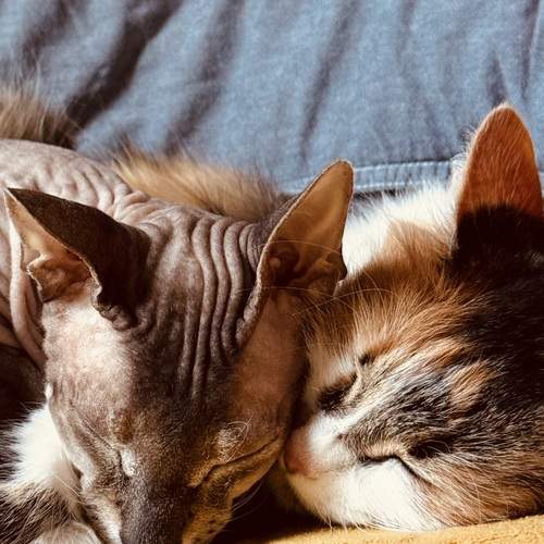 Photo #12236624