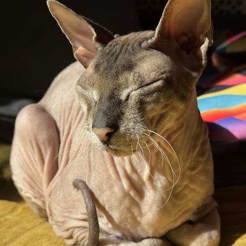 Photo #12236625