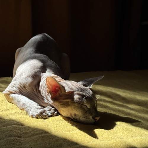 Photo #12236626