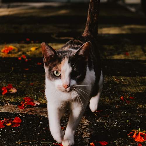 Photo #12236629