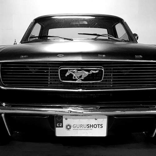 Photo #12236667