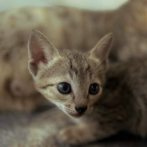 Photo #12236670