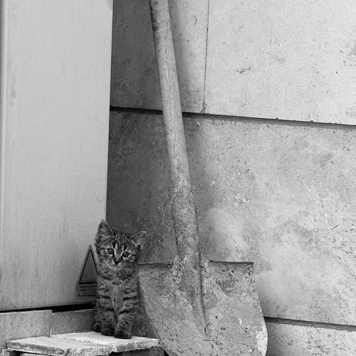 Photo #12236895