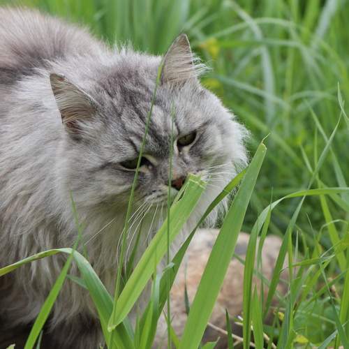 Photo #12237051