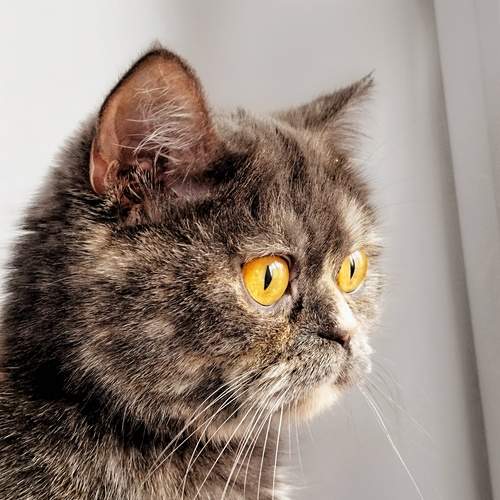 Photo #12237075