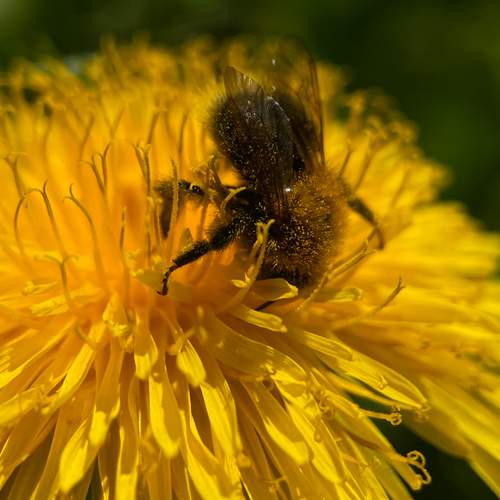 Photo #12237077