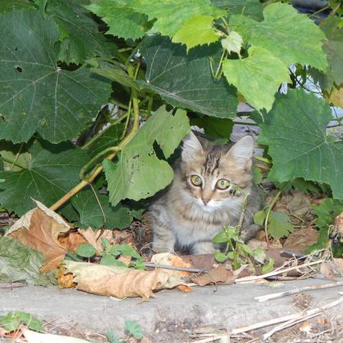 Photo #12237101
