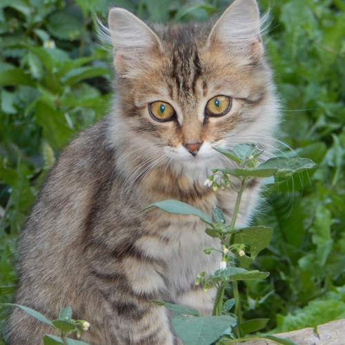 Photo #12237102