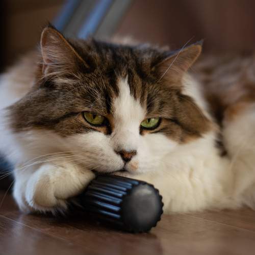 Photo #12237147