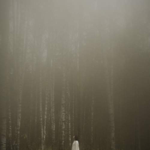 deep in the forest