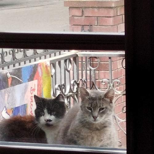 Photo #12237401