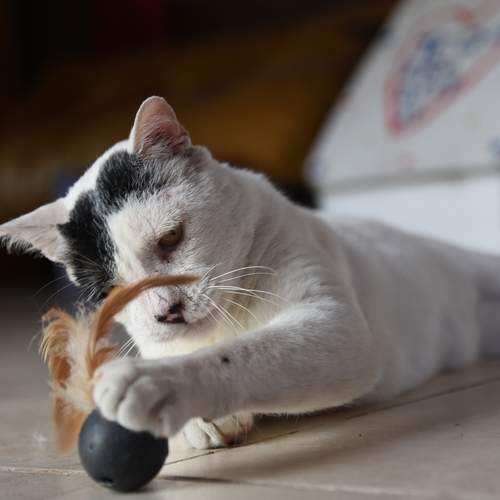 Photo #12237421