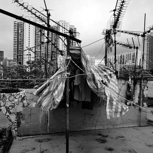 Photo #12237721
