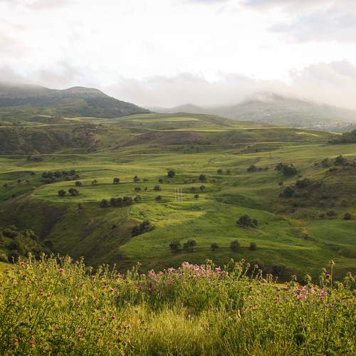 Photo #12237738
