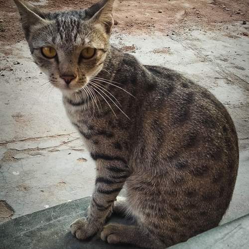 Photo #12237746