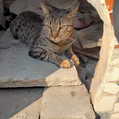 Photo #12237755
