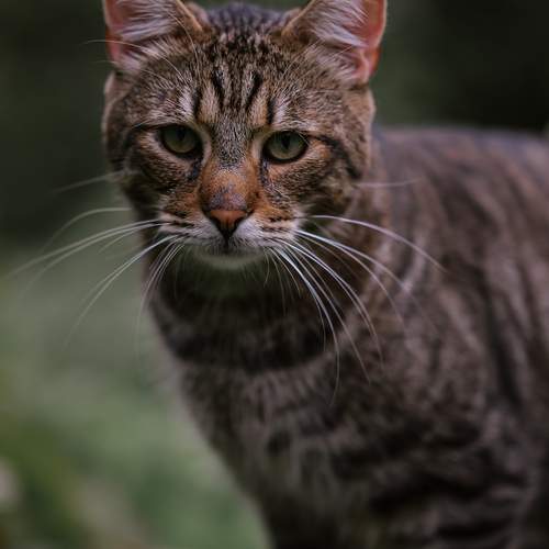 Photo #12237799