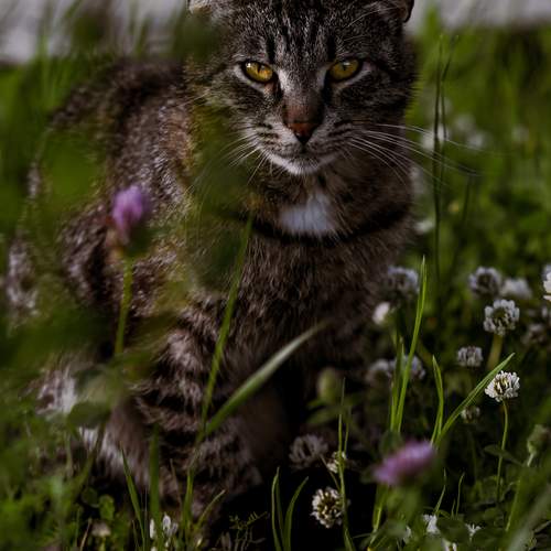 Photo #12237809