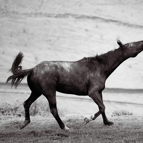 Photo #12237819
