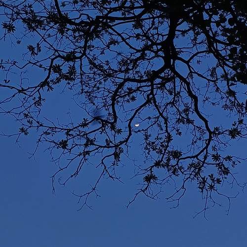 Photo #12237944