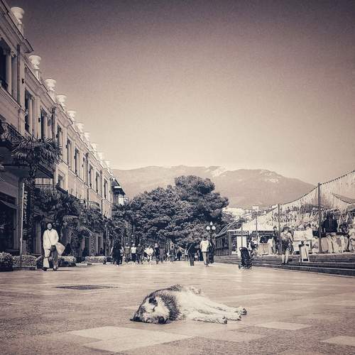 Photo #12237992