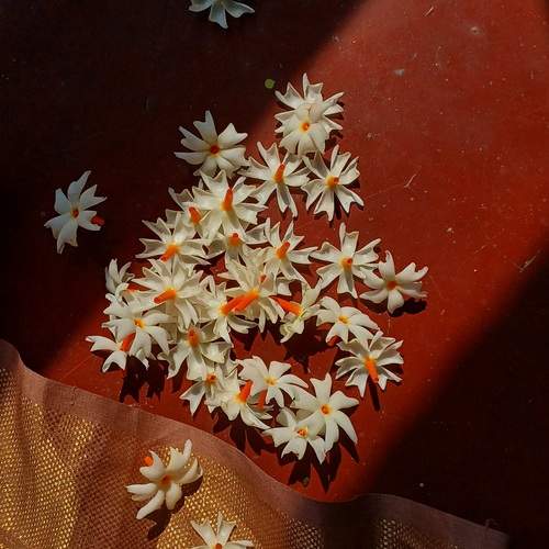 Photo #12237994