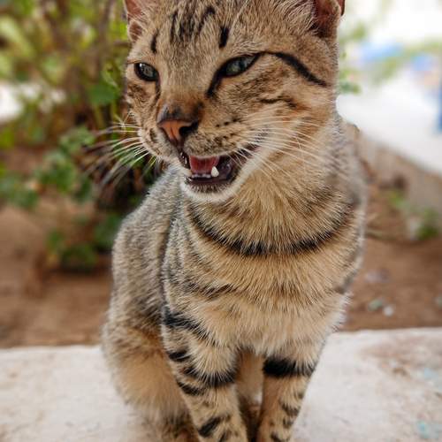 Photo #12238004