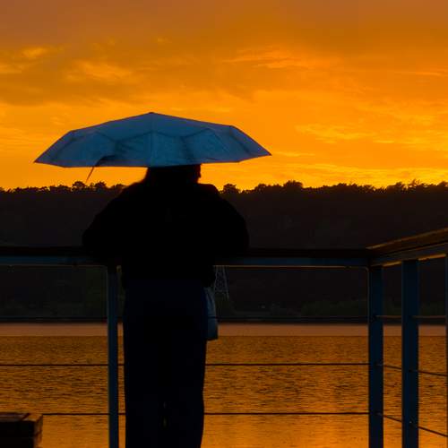 Photo #12238254