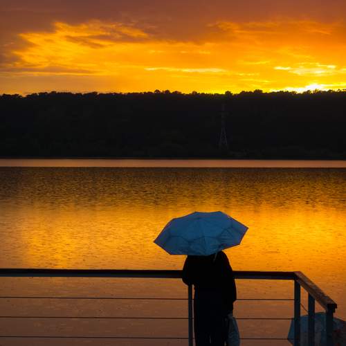 Photo #12238256