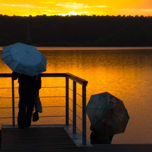 Photo #12238261