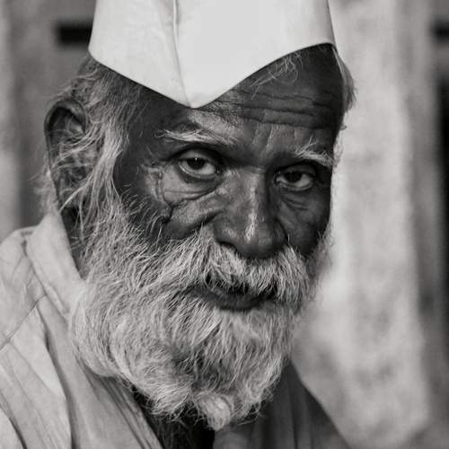 Photo #12238328