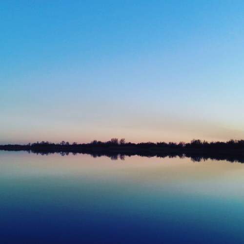Photo #12238330