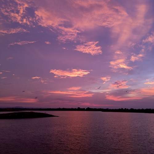 Photo #12238348