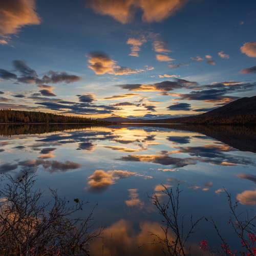 Photo #12238454