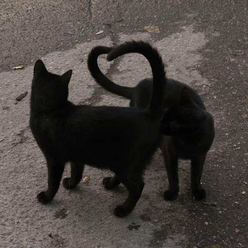 Photo #12238695