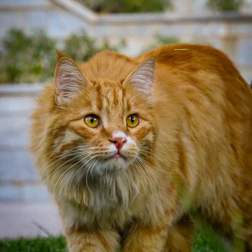 Photo #12238762