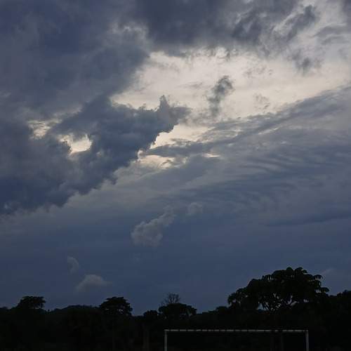 Nature photo