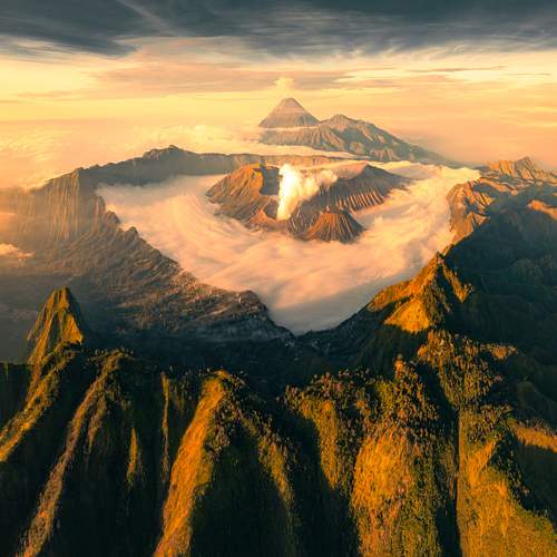 Photo #12239070