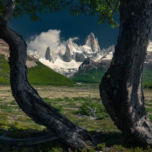 Photo #12239077