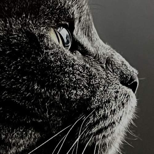 Photo #12239205
