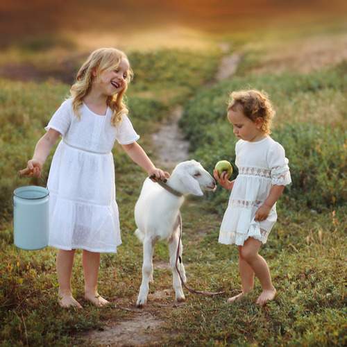 Photo #12239247