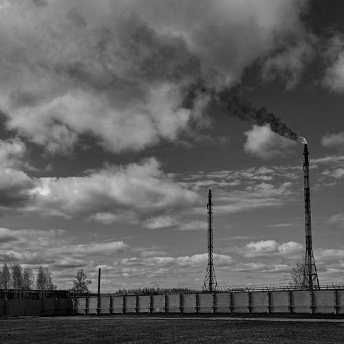 Photo #12239263