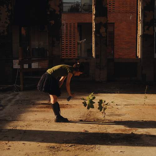 Photo #12239294