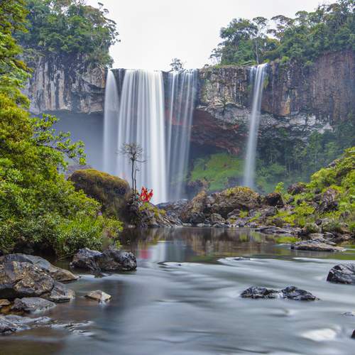 Photo #12239328